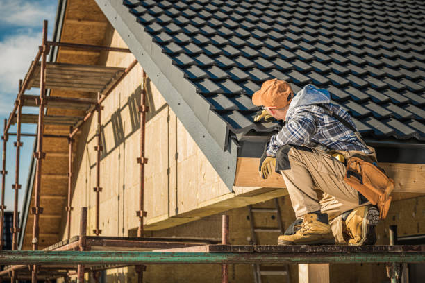 Best Roof Gutter Cleaning  in University Park, TX